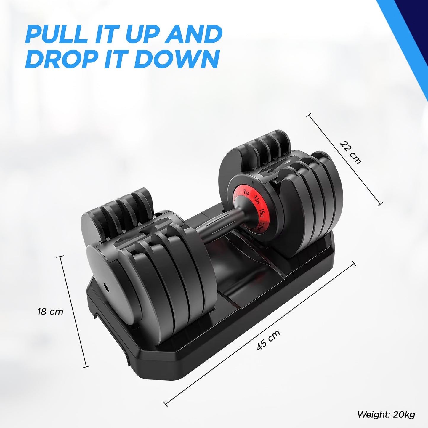 Reach neoprene dumbbell - safe and durable design